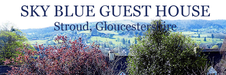 View from the house View from the house